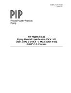 PIP PN15CK1S01